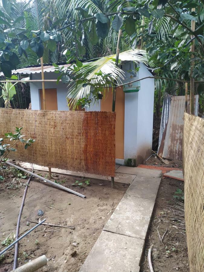 Mecong Homestay Ben Tre Экстерьер фото