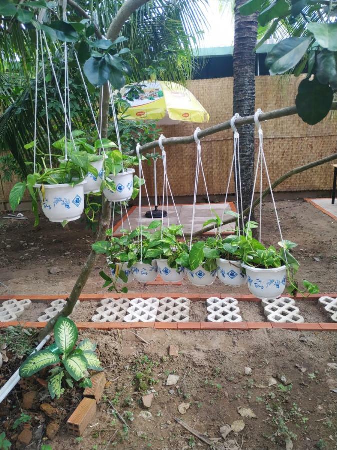 Mecong Homestay Ben Tre Экстерьер фото